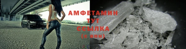 тгк Дмитриев