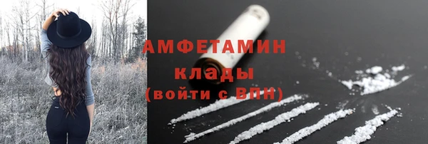 тгк Дмитриев