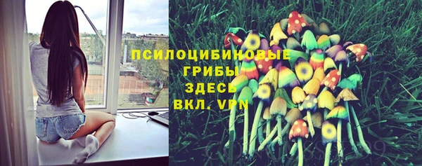 тгк Дмитриев