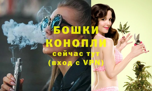 тгк Дмитриев