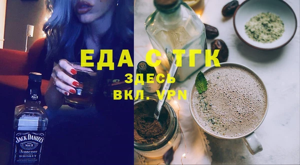тгк Дмитриев
