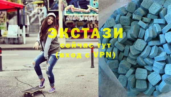 тгк Дмитриев
