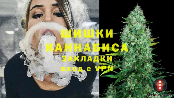 apvp Гусь-Хрустальный