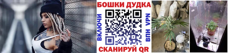 Купить  Ирбит  Шишки марихуана AK-47 